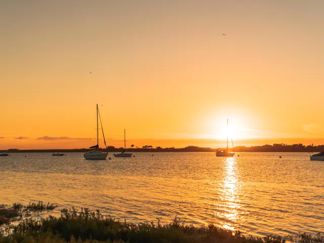 Bateaux amarrés dans une marina au coucher du soleil