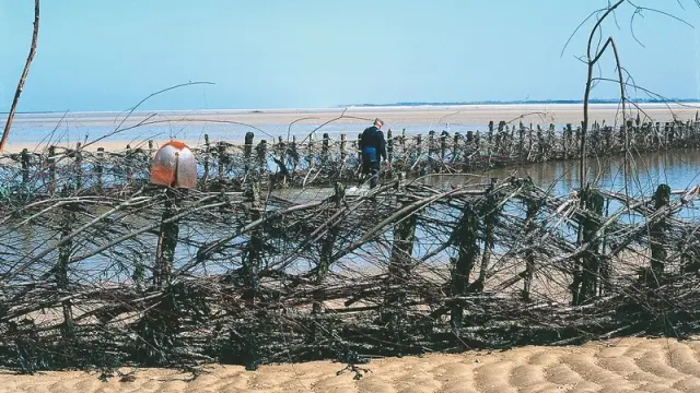 Un pêcheur marche dans les marais salants avec des roseaux et des pieux en bois