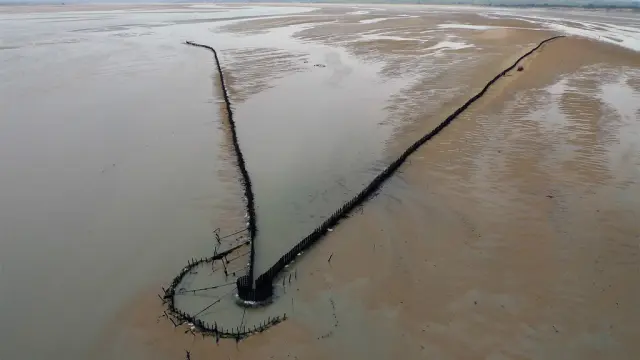 Vue aérienne d'une structure en bois dans une baie avec des lignes de piquets