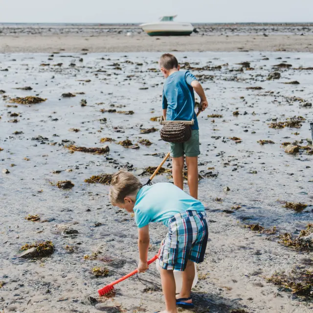 Deux enfants jouent sur une plage avec des algues et de l'eau peu profonde