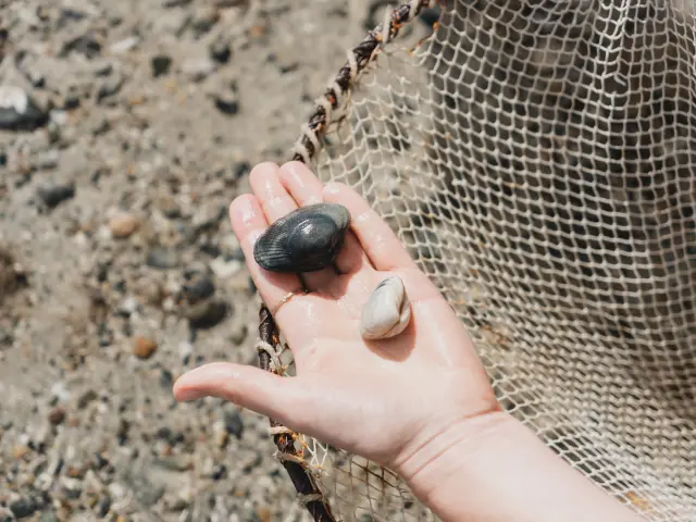 Eine Hand hält drei Kieselsteine verschiedener Größen und Farben an einem Kieselstrand