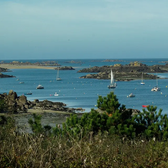 Baie avec plusieurs bateaux et îles rocheuses