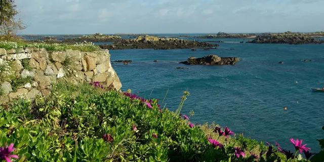 Côte rocheuse avec des fleurs violettes et un mur de pierre