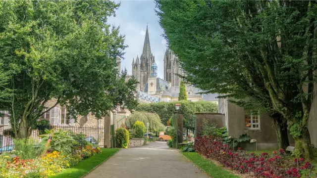 Ansicht einer gotischen Kathedrale zwischen grünen Bäumen