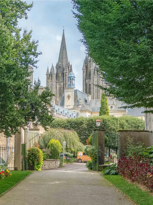 Vue d'une cathédrale gothique entre des arbres verts