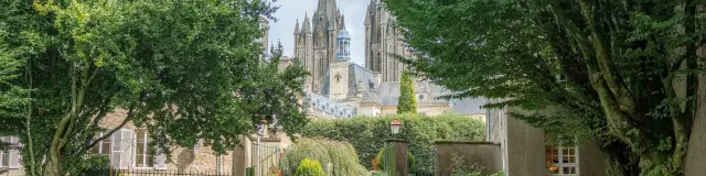 View of a Gothic cathedral between green trees