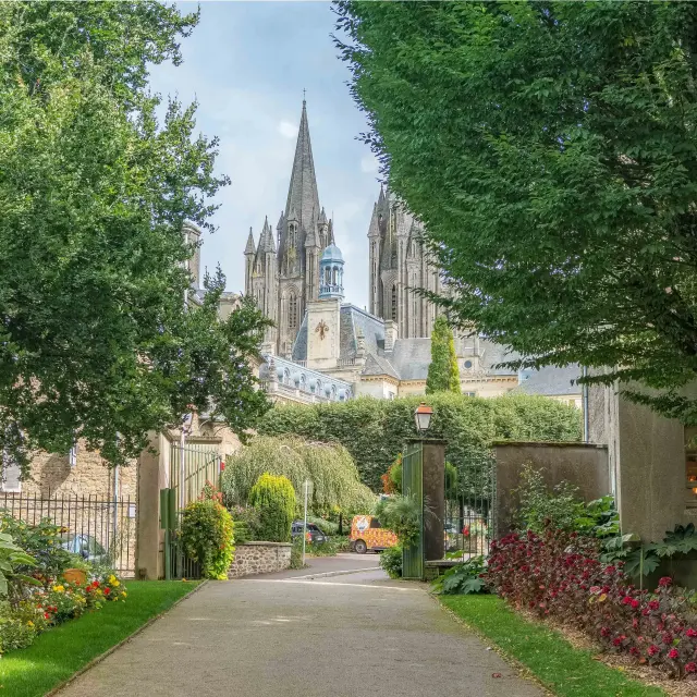 Vue d'une cathédrale gothique entre des arbres verts