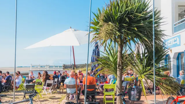 Trois vélos garés près d'une terrasse en bord de mer