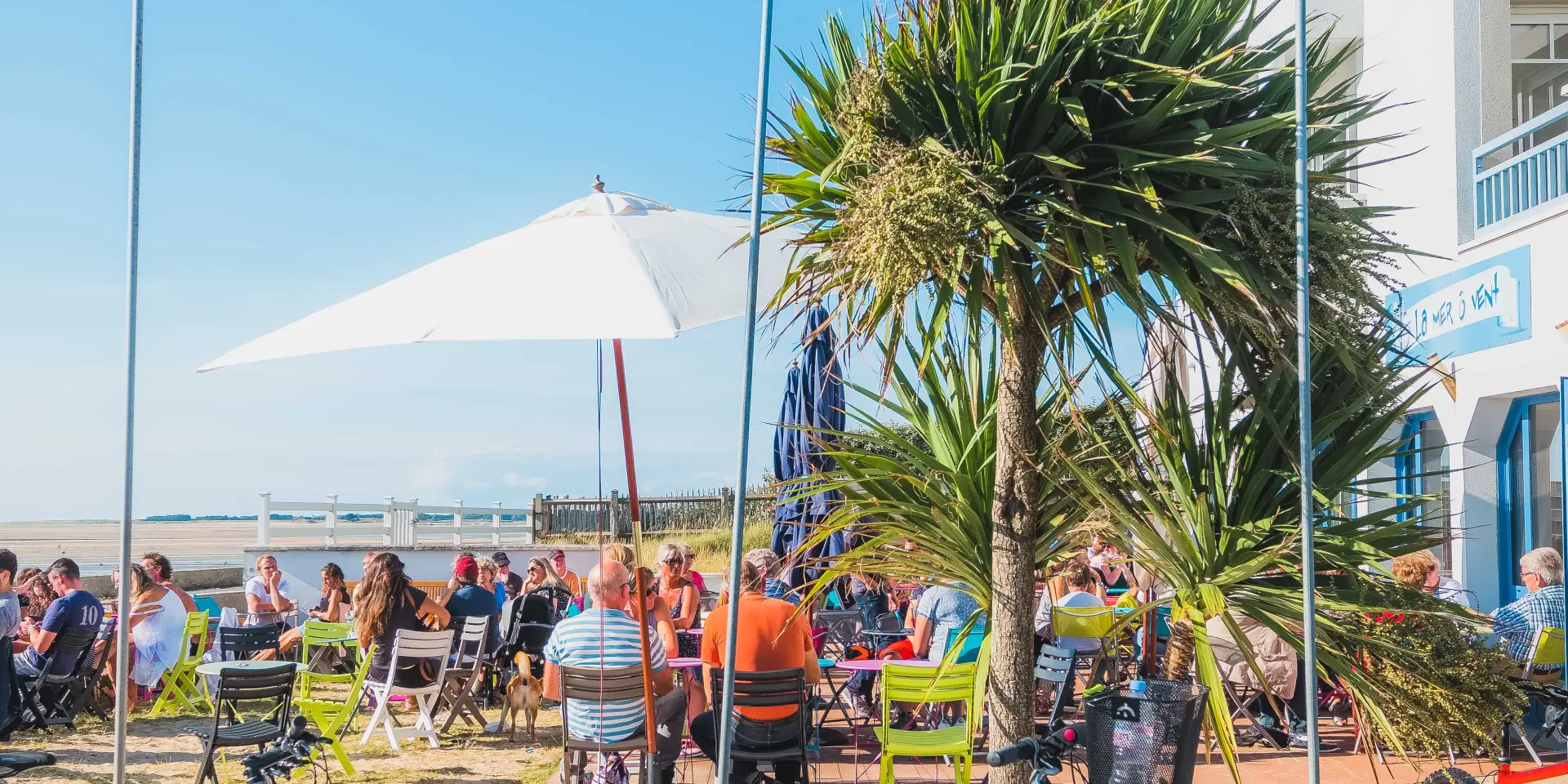 Trois vélos garés près d'une terrasse en bord de mer