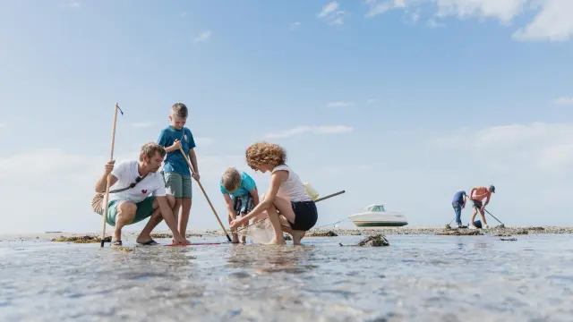 Un groupe d'enfants jouant dans l'eau peu profonde avec des filets à papillons