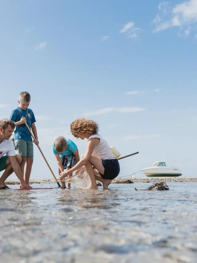 A group of children playing in shallow water with butterfly nets
