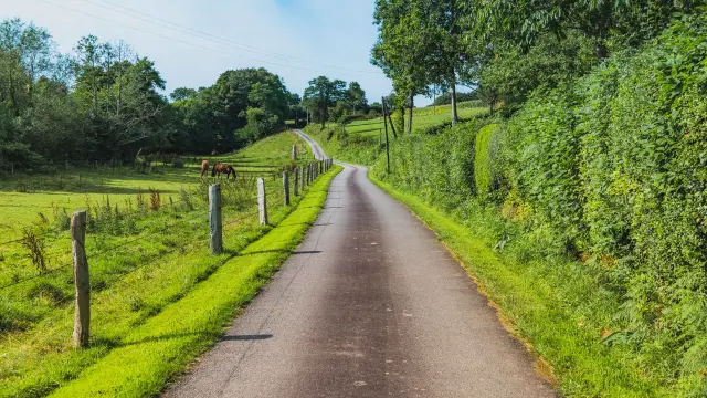 Routes sinueuses dans le bocage à La Baleine