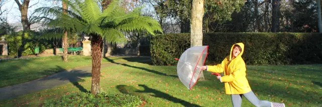 Frau in einem gelben Regenmantel hält einen transparenten Regenschirm in einem Park