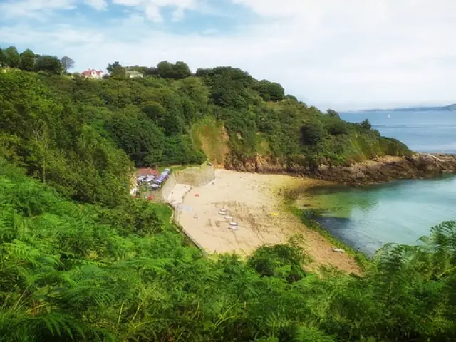 Sandy beach surrounded by greenery and bordered by the ocean
