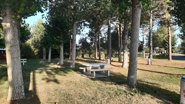 Ein Holztisch für Picknick unter Bäumen in einem Park