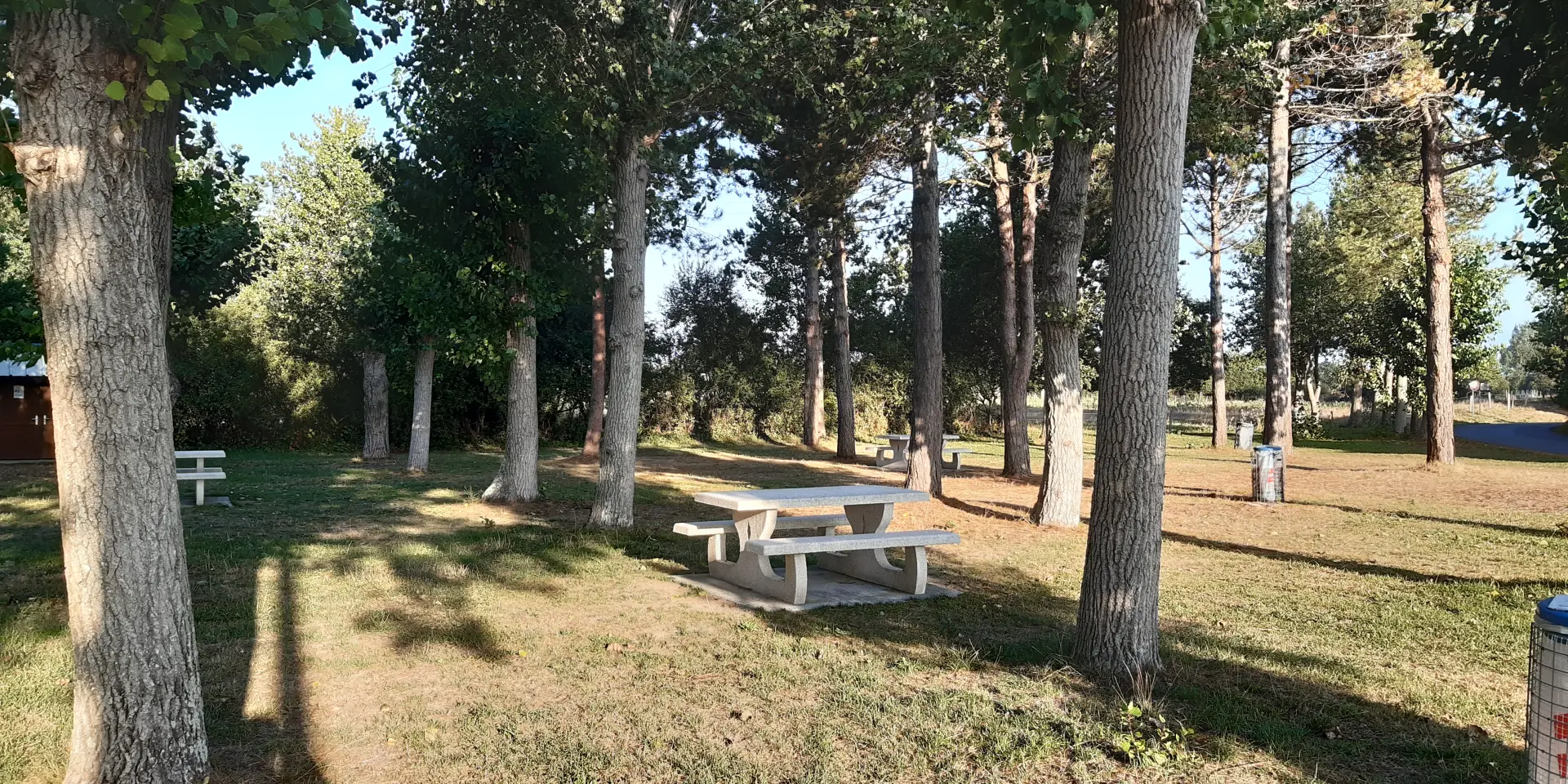 Ein Holztisch für Picknick unter Bäumen in einem Park