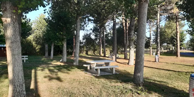 Une table de pique-nique en bois sous des arbres dans un parc