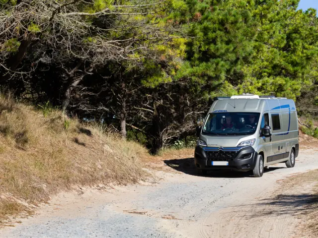 Camionnette blanche sur une route de campagne bordée d'arbres