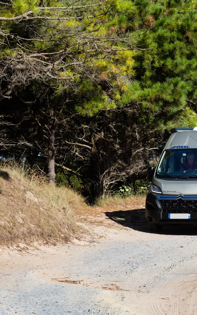 Gray camper van on a country road