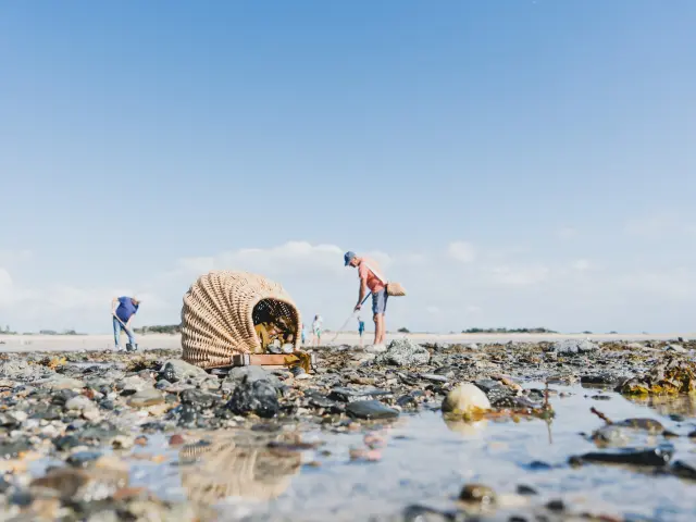 Zwei Personen erkunden einen felsigen Strand mit einer großen Muschel