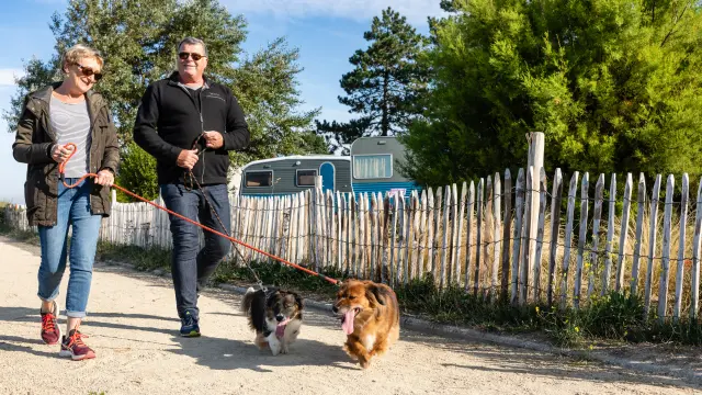 Un homme et une femme marchent avec deux chiens en laisse sur un chemin de terre à Regnéville sur Mer
