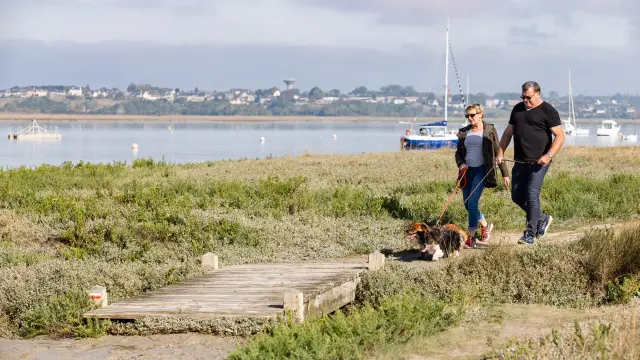 Deux personnes et un chien marchent au bird du Havre de Regnéville sur Mer