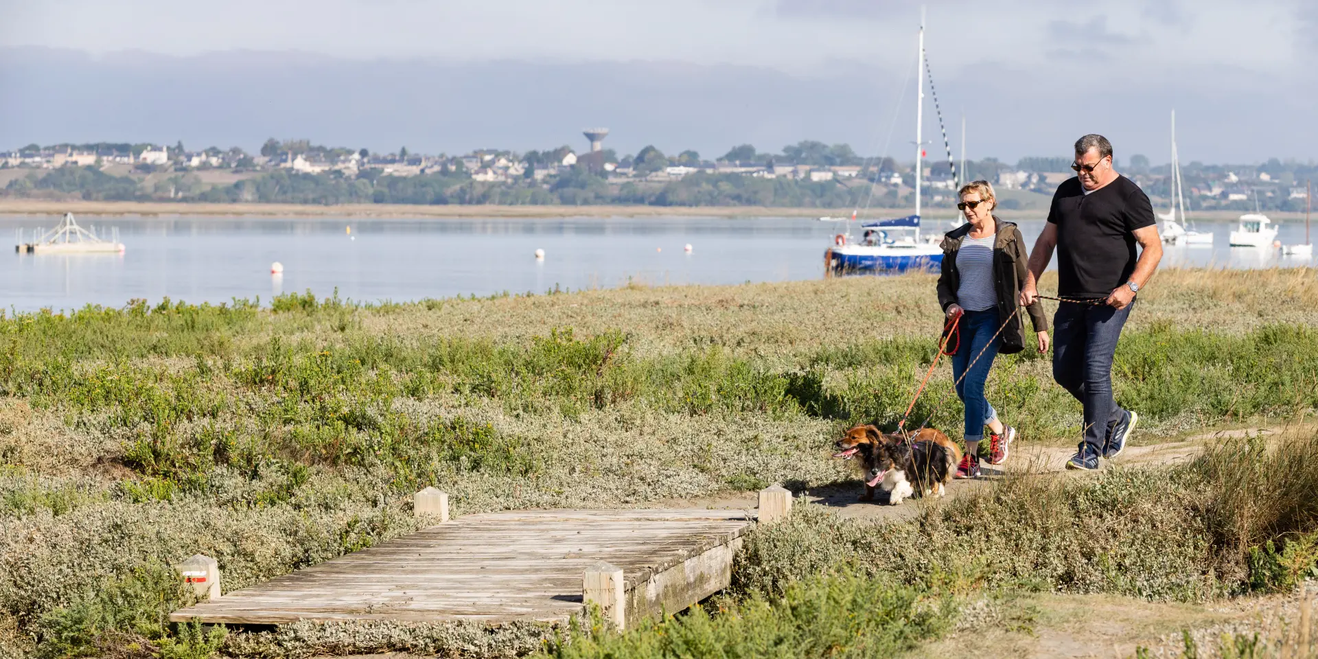 Deux personnes et un chien marchent au bird du Havre de Regnéville sur Mer