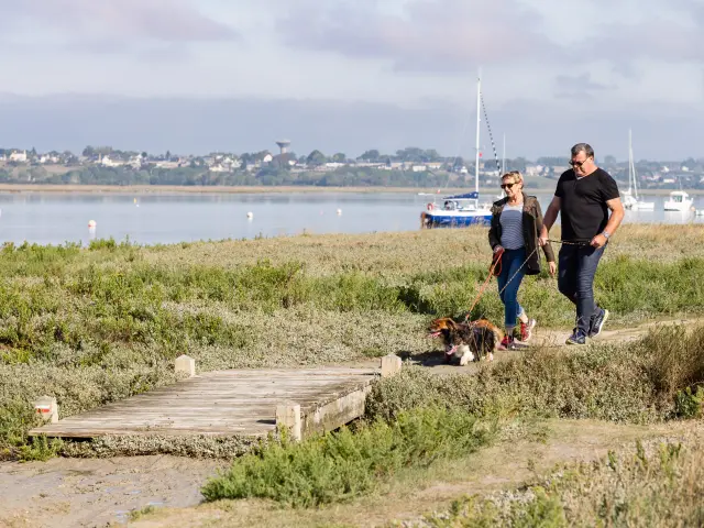 Deux personnes et un chien marchent au bird du Havre de Regnéville sur Mer