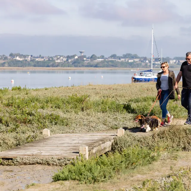 Two people and a dog walking on a path near a body of water