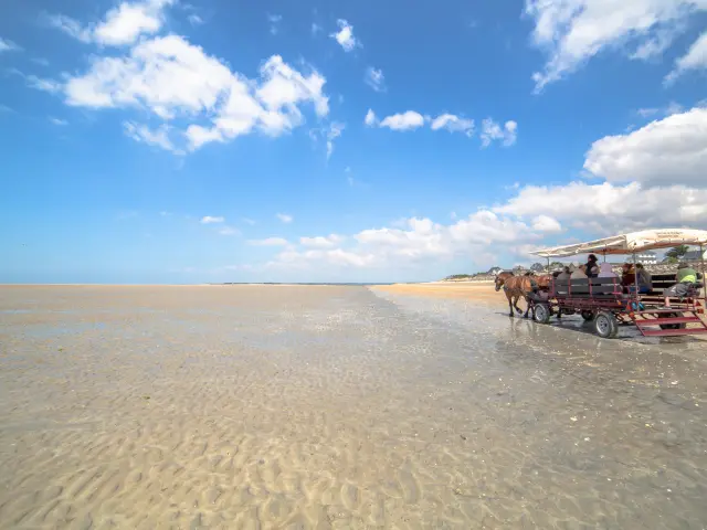 Pferdekutsche auf einem einsamen Strand