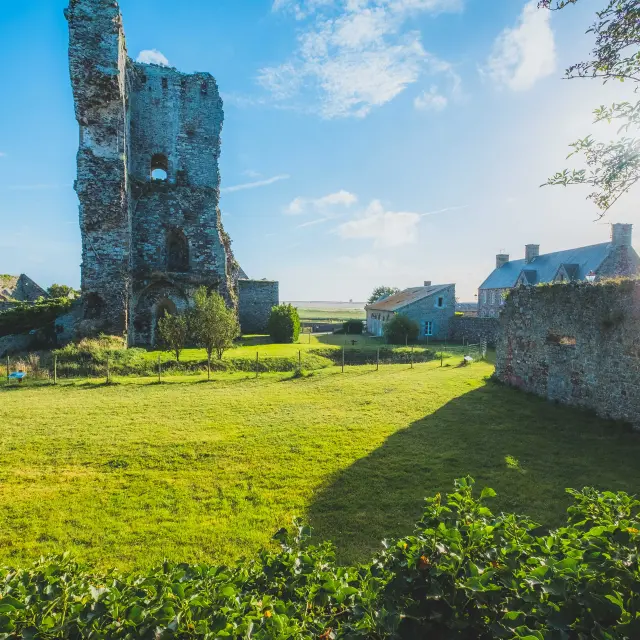 Ruins of a medieval castle with stone walls and modern buildings nearby