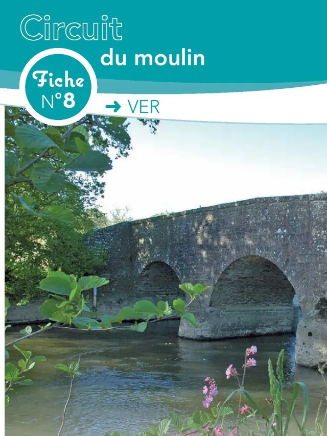 Fiche circuit n°8