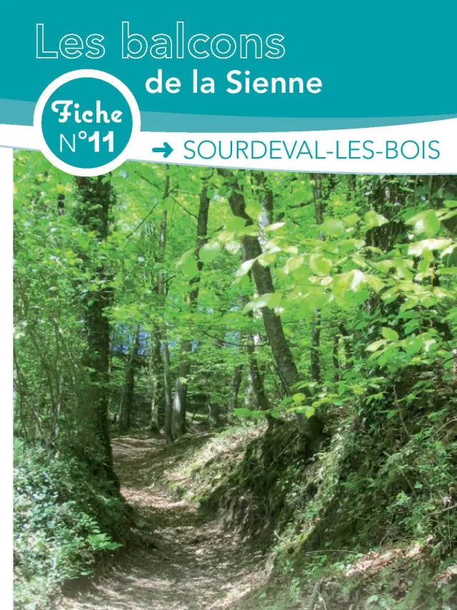 Fiche circuit n°11