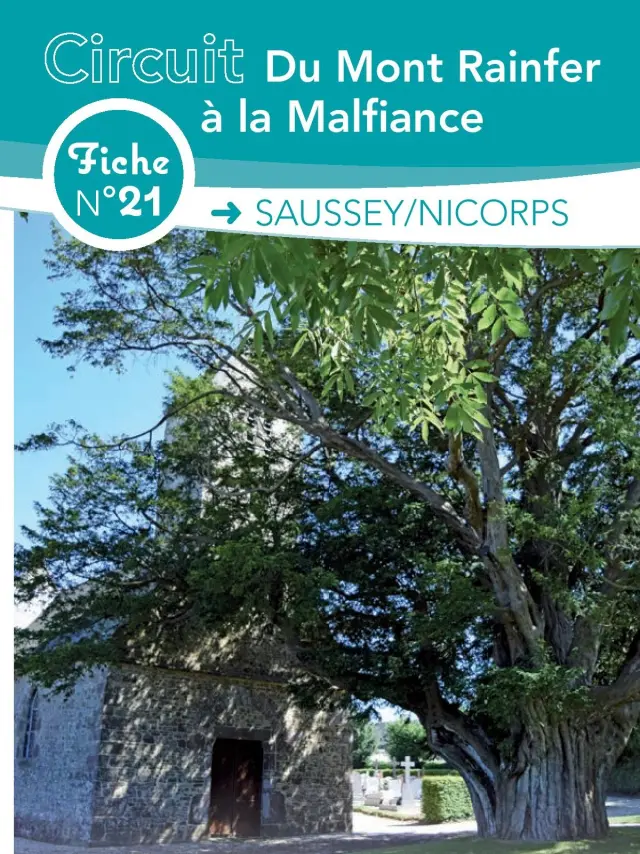 Fiche circuit n°21