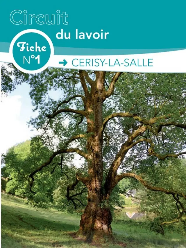 Fiche circuit n°1