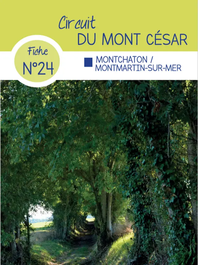 Fiche circuit n°24