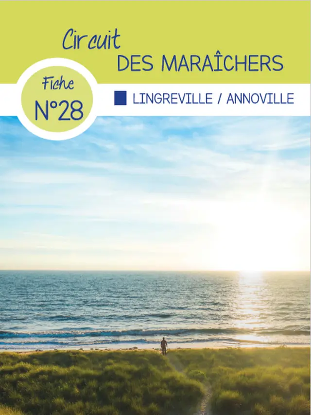 Fiche circuit n°28