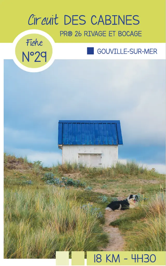 A dog walks on a path near a blue cabin