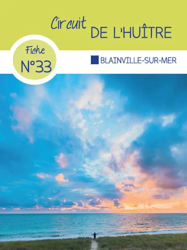 Fiche circuit n°33