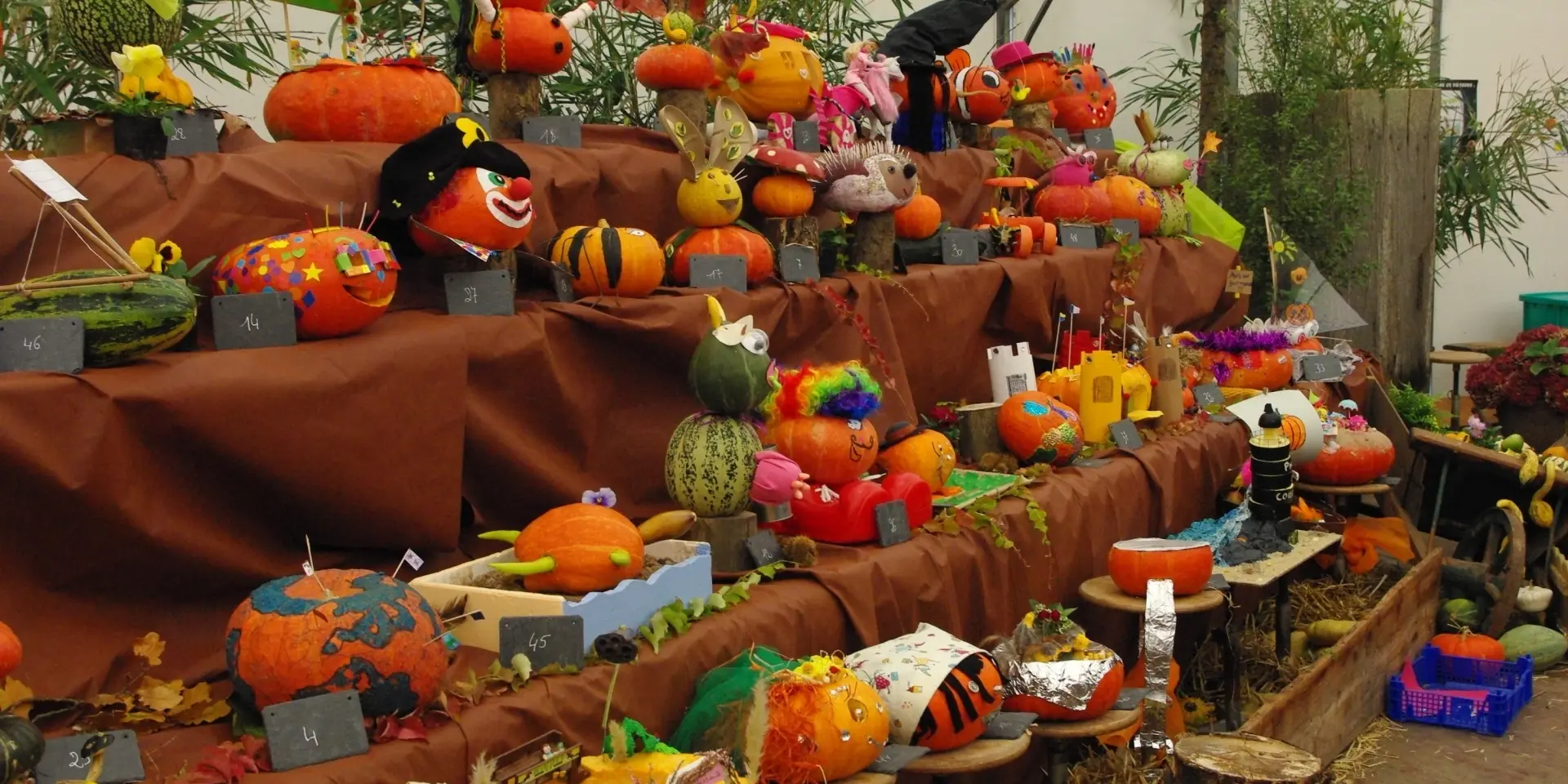 Stand du concours de citrouilles à la foire SAint Luc de Gavray