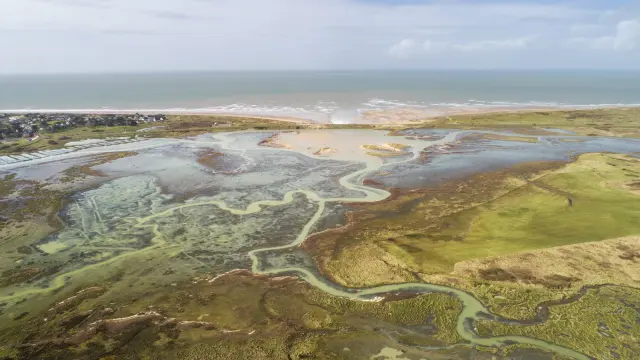 Aerial view of coastal wetlands with water bodies and vegetation