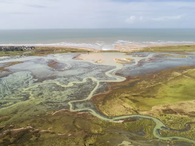 Luftaufnahme von Küstenfeuchtgebieten mit Wasserflächen und Vegetation