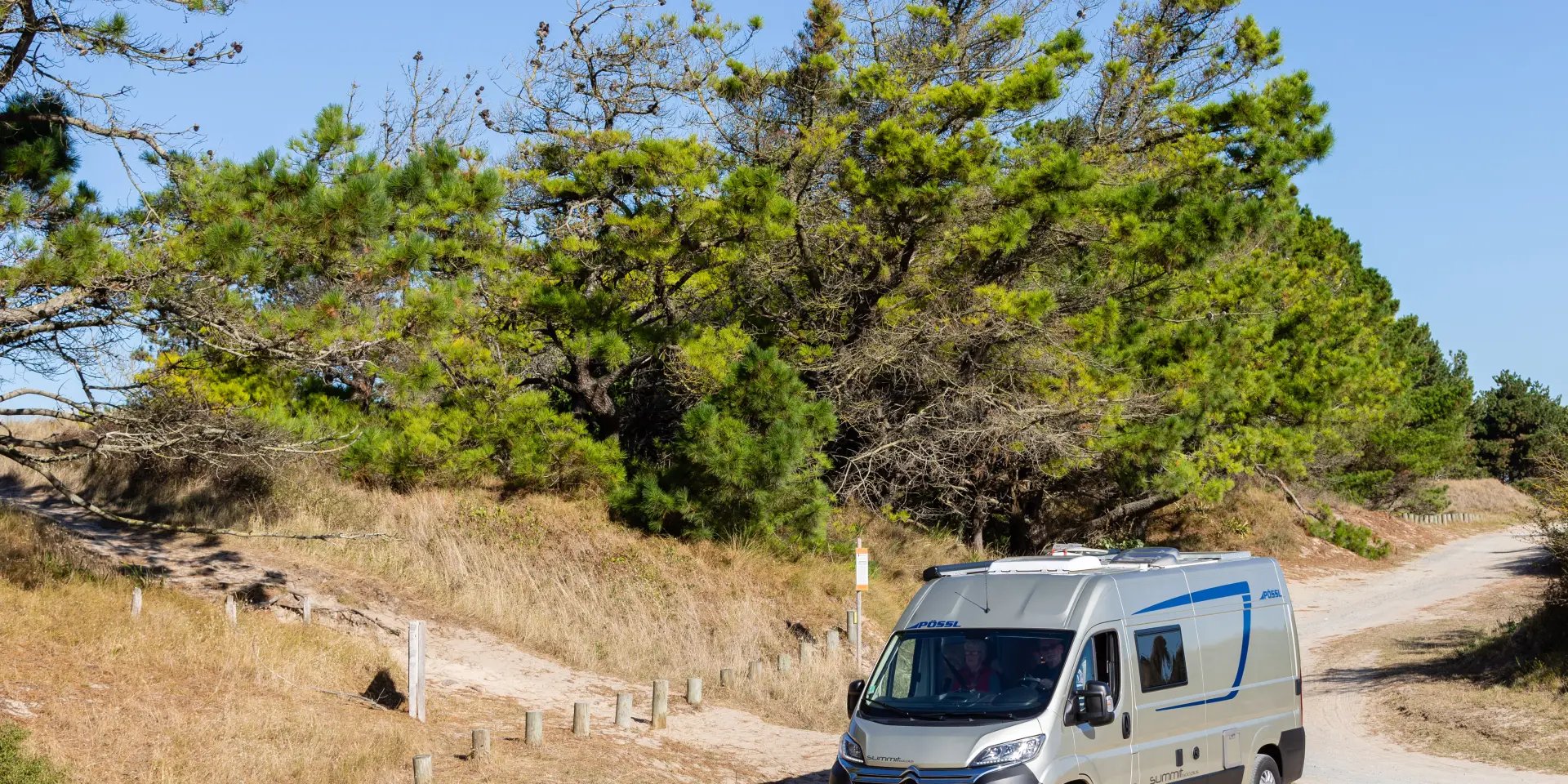 Ein weißer und blauer Wohnwagen, der auf einem Schotterweg umgeben von Bäumen und Vegetation geparkt ist