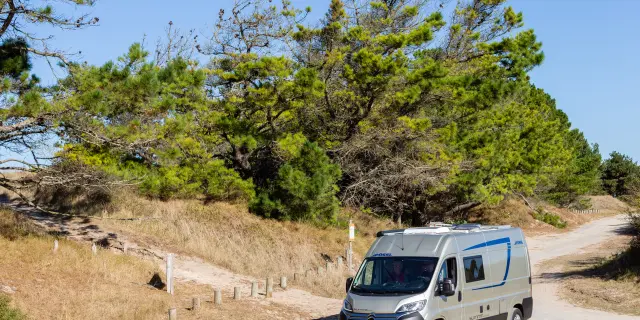 Un camping-car blanc et bleu stationné sur un chemin de terre entouré d'arbres et de végétation
