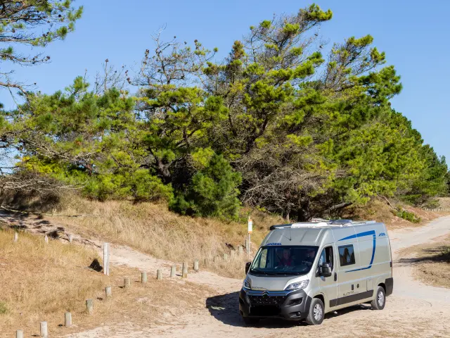 Un camping-car blanc et bleu stationné sur un chemin de terre entouré d'arbres et de végétation