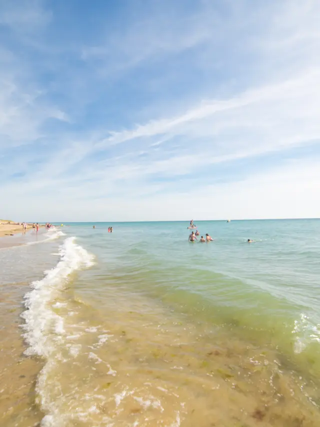 Personnes se baignant et se relaxant sur une plage de sable