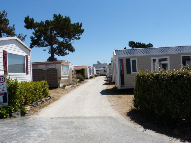 Street of mobile homes with bushes and trees