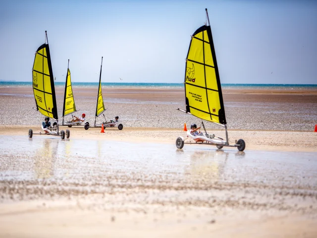 Four sailboats on a beach with yellow and black sails