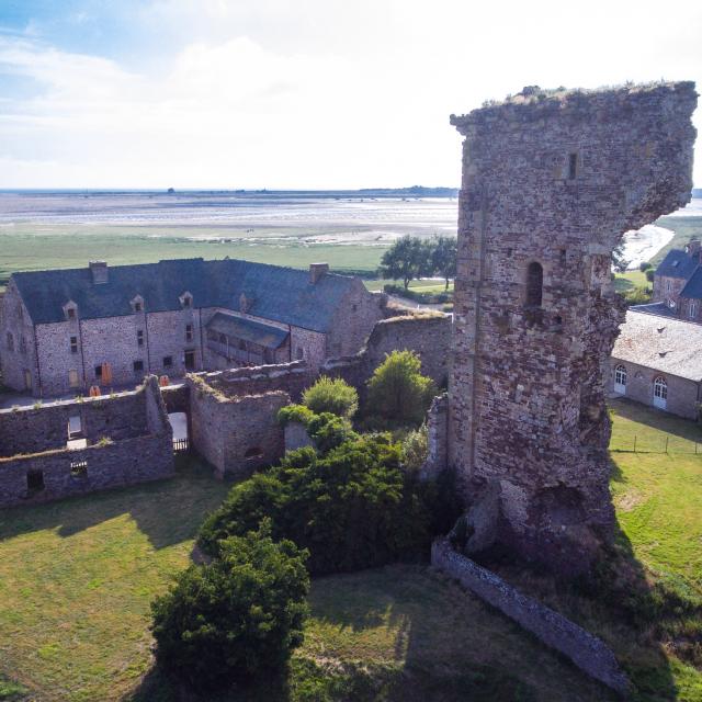 Aerial view of the ruins of a medieval castle with a partially collapsed tower