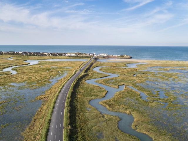 Winding road bordered by vegetation leading to the ocean